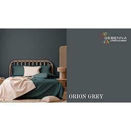 ORION GREY.jpg